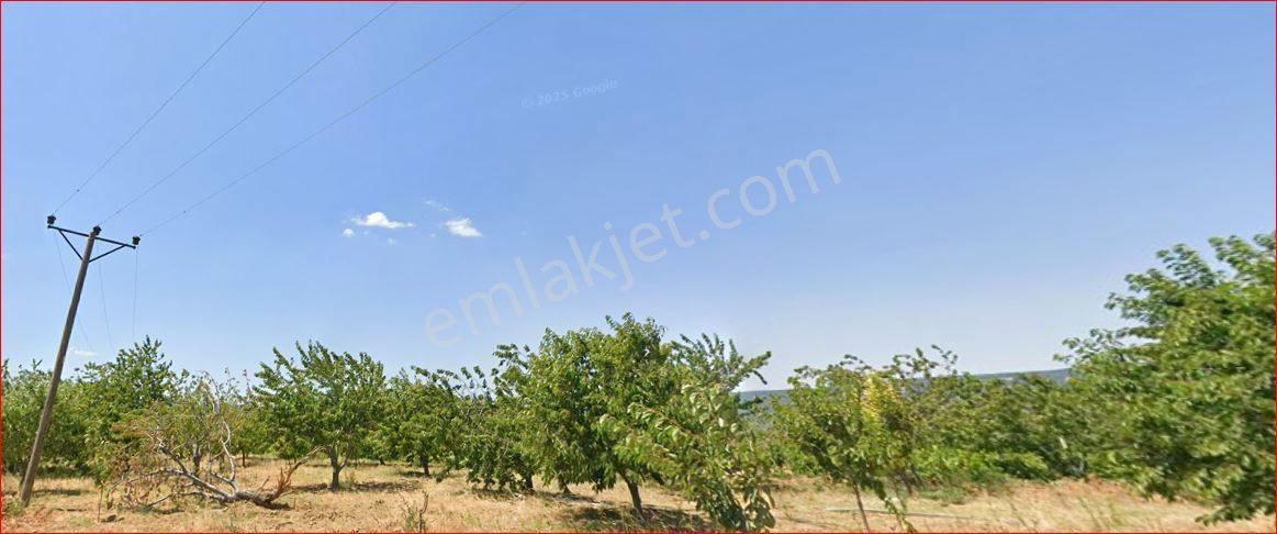 Şarköy Kirazlı Mah’de Müstakil Parsel Bağ & Bahçe Arazisi (ada 235 / Parsel 20) — fotoğraf 2