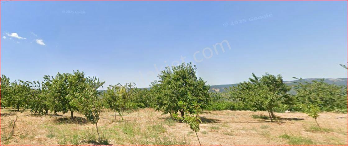 Şarköy Kirazlı Mah’de Müstakil Parsel Bağ & Bahçe Arazisi (ada 235 / Parsel 20) — fotoğraf 3