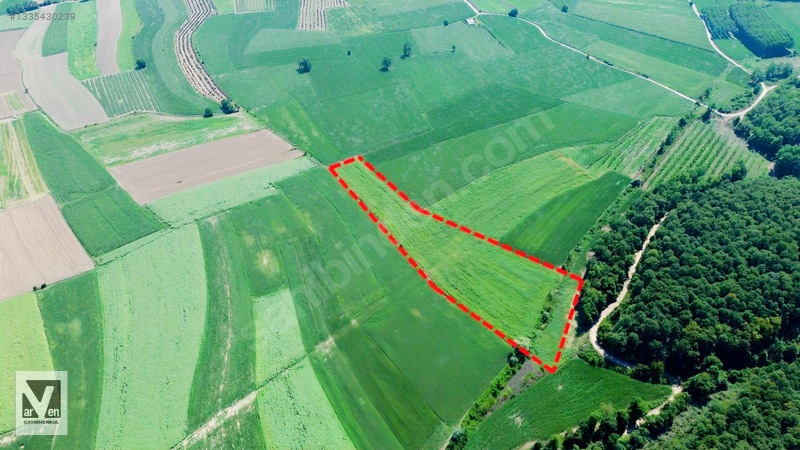 Maksudiye'De Resmi Yolu Olan 17498M² Tarla