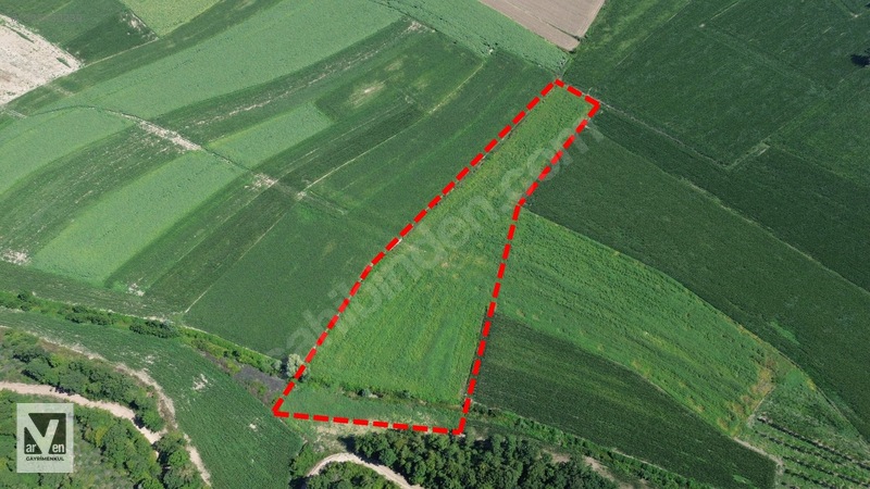 Maksudiye'de Resmi Yolu Olan 17498m² Tarla — fotoğraf 2