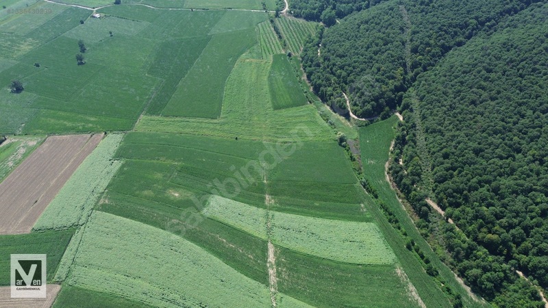 Maksudiye'de Resmi Yolu Olan 17498m² Tarla — fotoğraf 3