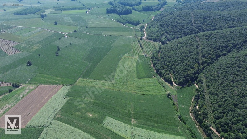 Maksudiye'de Resmi Yolu Olan 17498m² Tarla — fotoğraf 4