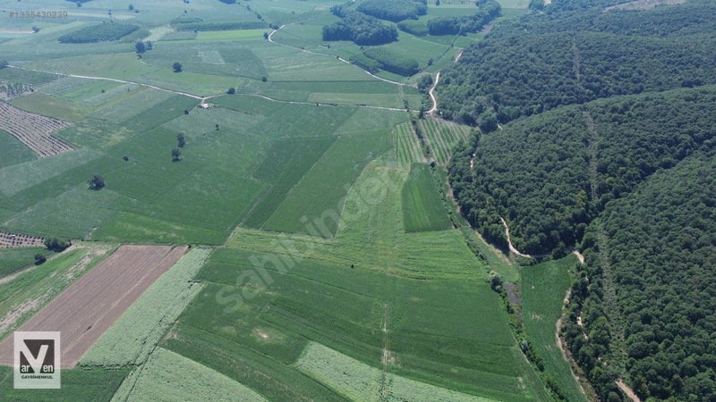 Maksudiye'de Resmi Yolu Olan 17498m² Tarla — fotoğraf 5