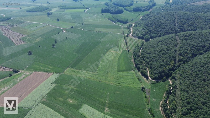 Maksudiye'de Resmi Yolu Olan 17498m² Tarla — fotoğraf 6
