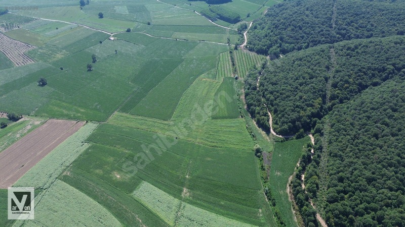 Maksudiye'de Resmi Yolu Olan 17498m² Tarla — fotoğraf 7