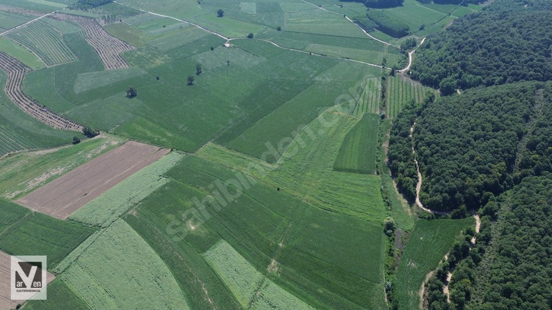 Maksudiye'de Resmi Yolu Olan 17498m² Tarla — fotoğraf 8