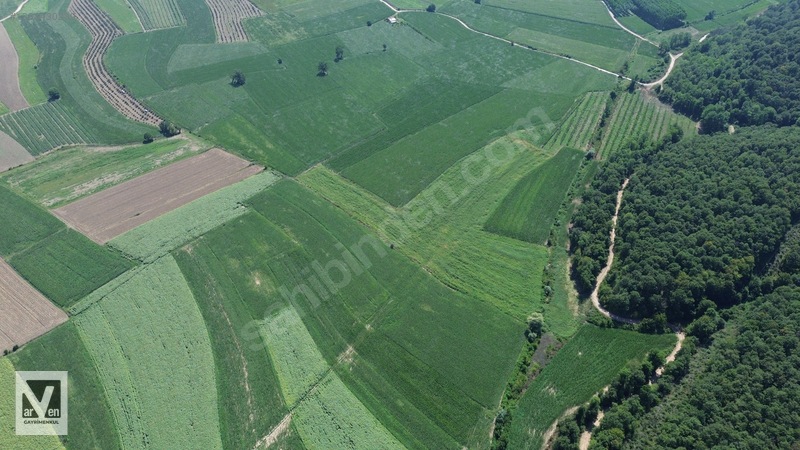 Maksudiye'de Resmi Yolu Olan 17498m² Tarla — fotoğraf 9