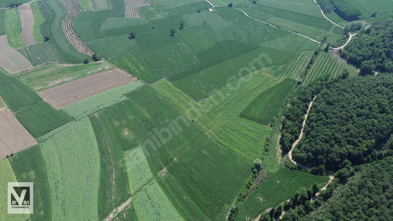 Maksudiye'de Resmi Yolu Olan 17498m² Tarla — fotoğraf 10