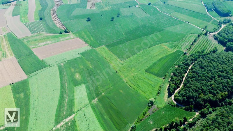 Maksudiye'de Resmi Yolu Olan 17498m² Tarla — fotoğraf 11