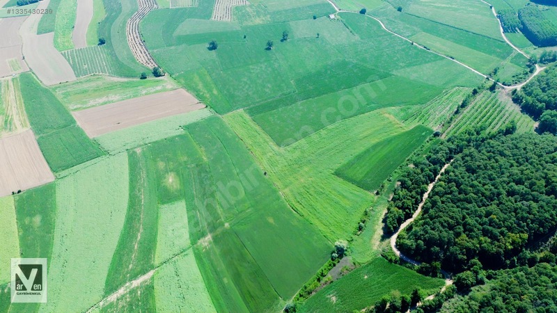 Maksudiye'de Resmi Yolu Olan 17498m² Tarla — fotoğraf 12