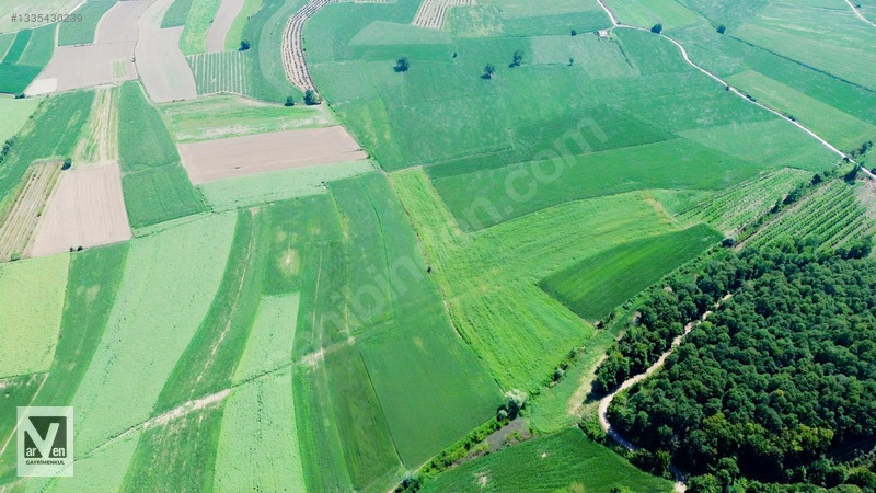 Maksudiye'de Resmi Yolu Olan 17498m² Tarla — fotoğraf 13