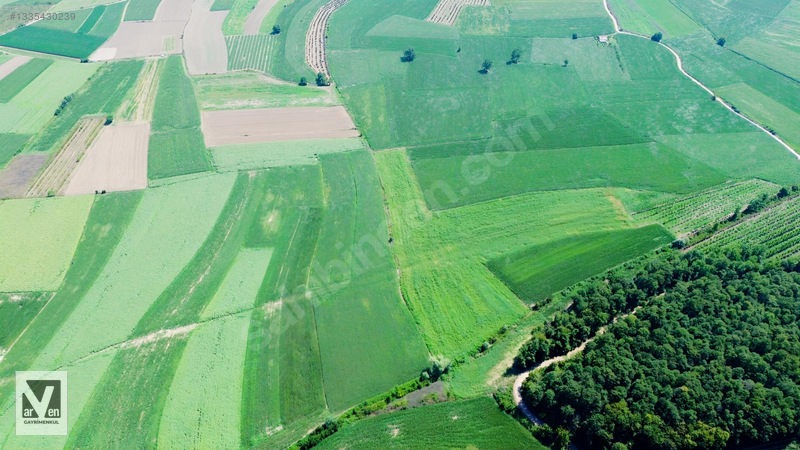 Maksudiye'de Resmi Yolu Olan 17498m² Tarla — fotoğraf 14