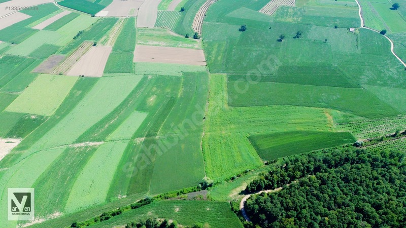 Maksudiye'de Resmi Yolu Olan 17498m² Tarla — fotoğraf 15