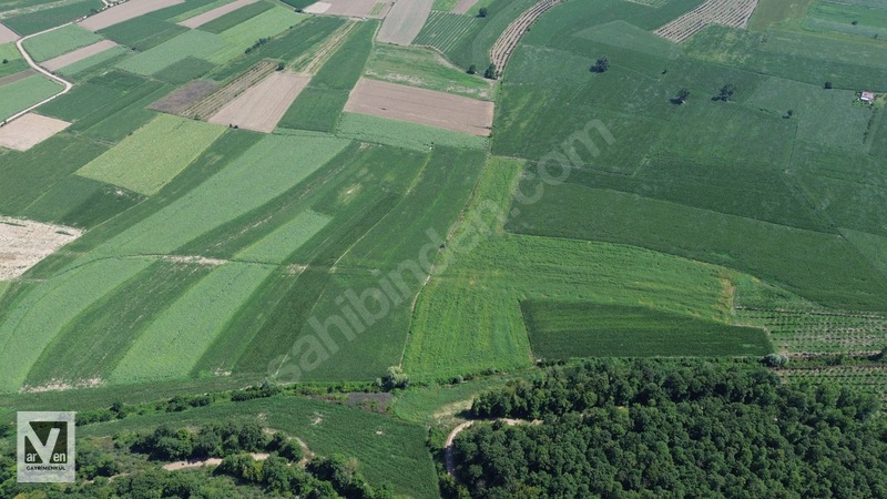 Maksudiye'de Resmi Yolu Olan 17498m² Tarla — fotoğraf 16