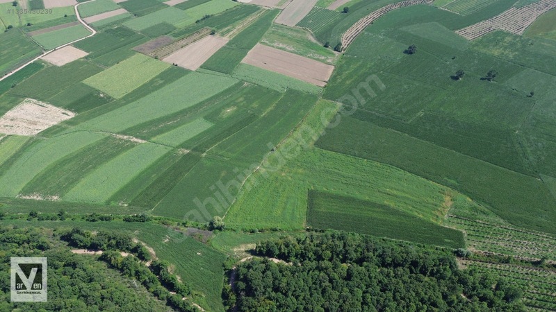 Maksudiye'de Resmi Yolu Olan 17498m² Tarla — fotoğraf 17