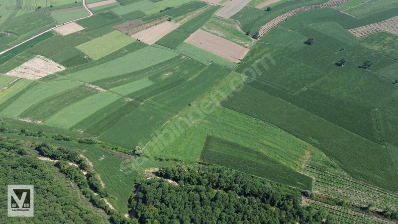 Maksudiye'de Resmi Yolu Olan 17498m² Tarla — fotoğraf 18