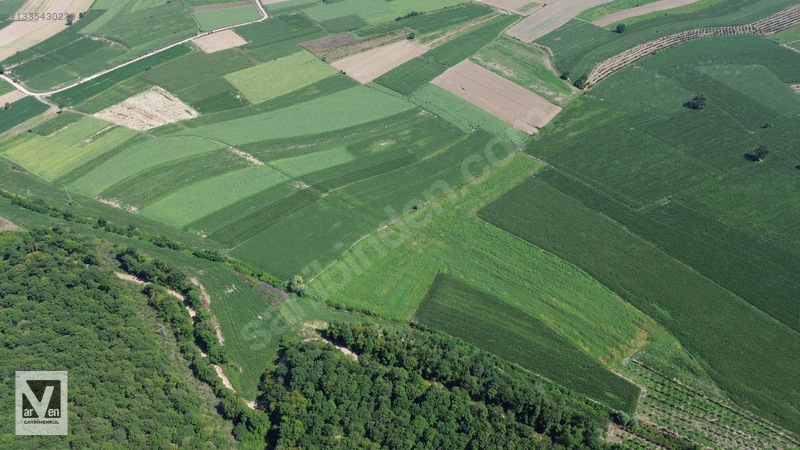 Maksudiye'de Resmi Yolu Olan 17498m² Tarla — fotoğraf 19