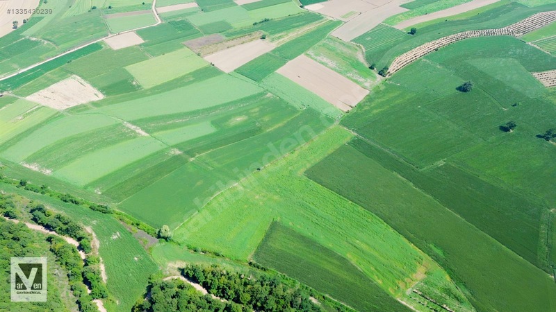 Maksudiye'de Resmi Yolu Olan 17498m² Tarla — fotoğraf 20