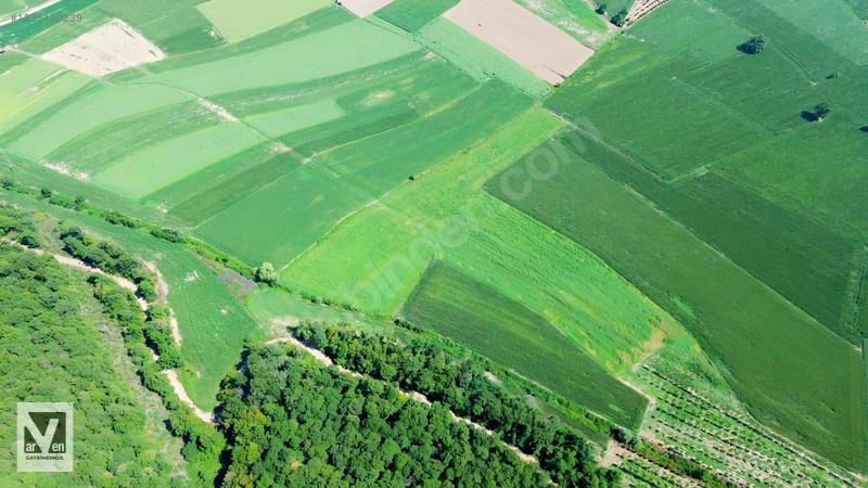 Maksudiye'de Resmi Yolu Olan 17498m² Tarla — fotoğraf 21