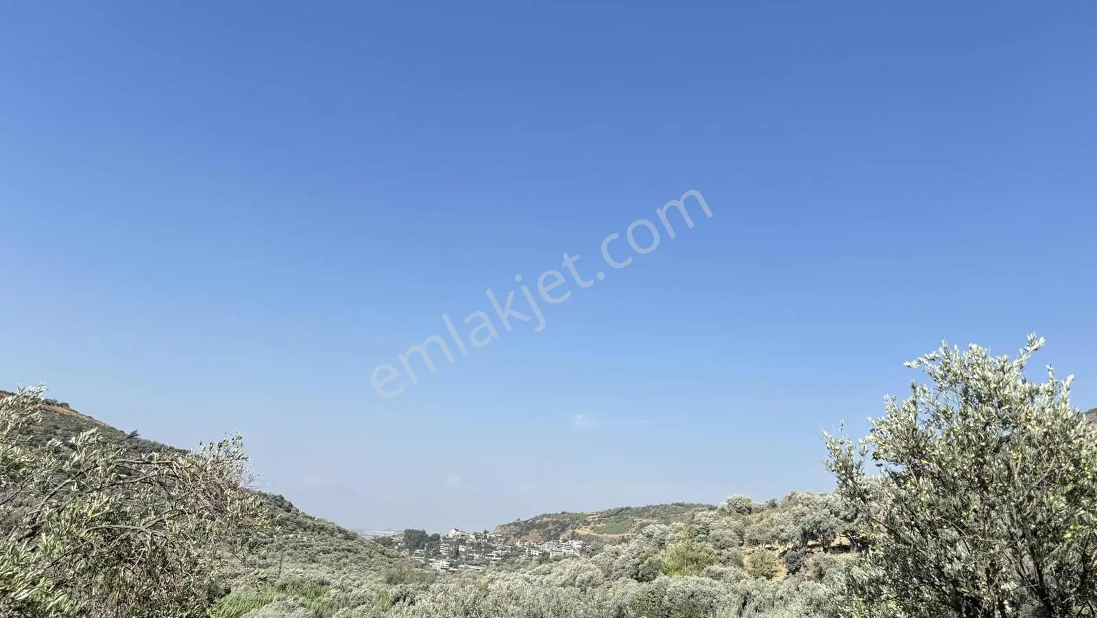 Narlıca Merkezde Satılık Fırsat Ağaçlı Tarla Tek Tapu — fotoğraf 8