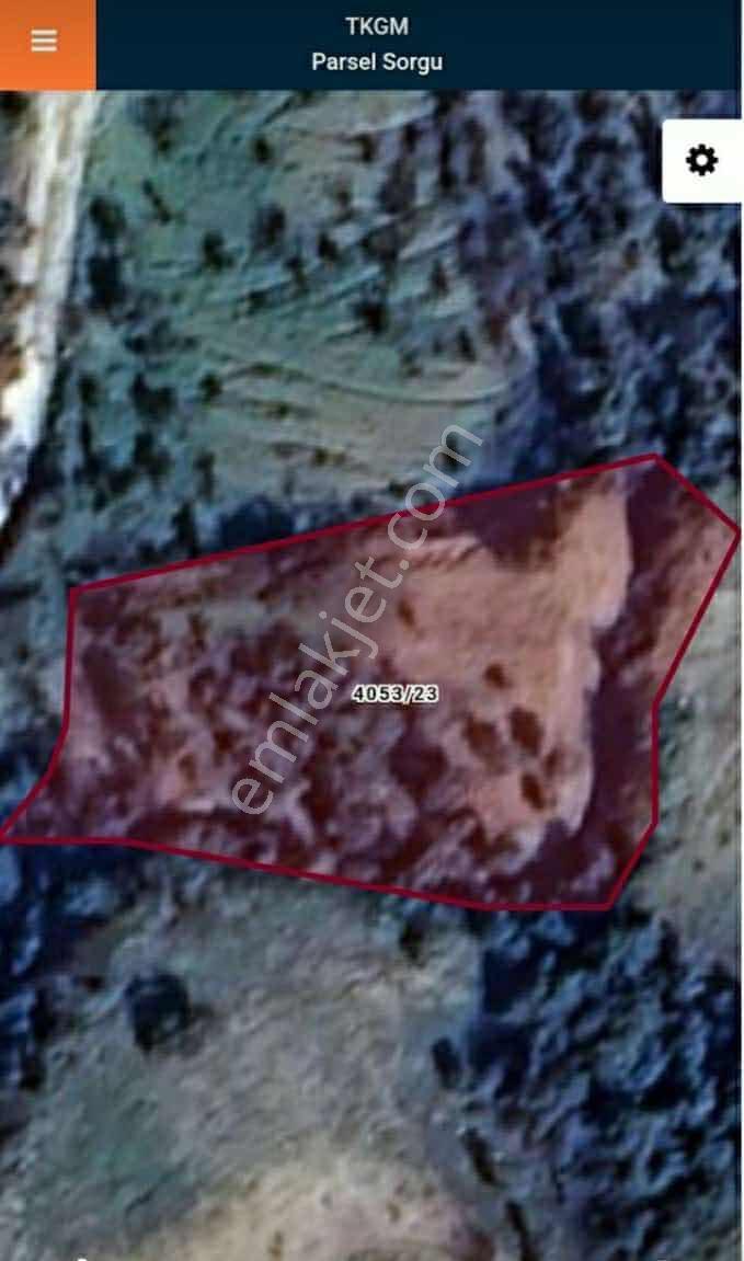 Narlıca Merkezde Satılık Fırsat Ağaçlı Tarla Tek Tapu — fotoğraf 18