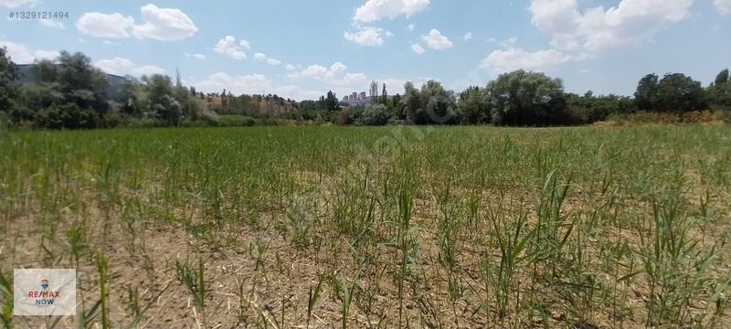 Ankarada Samsun Yolu Ve Kayaş Caddesi Arası 9088 M2 Satılık Arsa — fotoğraf 10