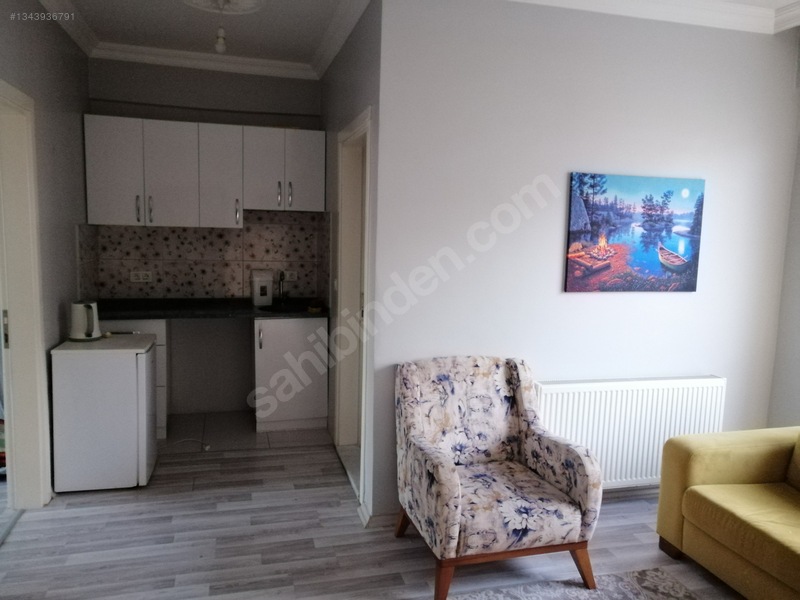 Milas İsmetpaşa Satılık 1+1 Daire — fotoğraf 3