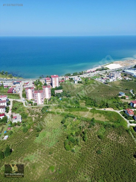 Piraziz'de Deniz Manzaralı 4.330 M² Arsa: Kat Karşılığı — fotoğraf 5
