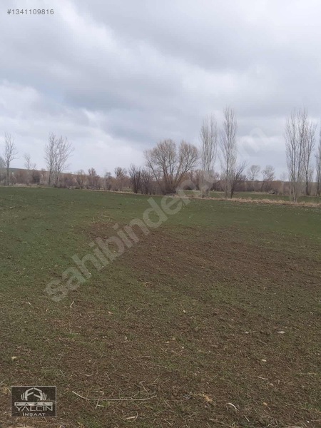 Yozgat Şefaatli Satılık Tarla 1824 M² Müstakil Tapulu