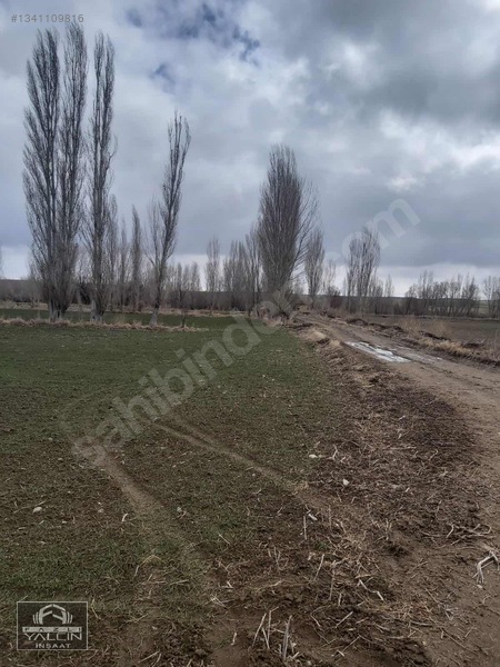Yozgat Şefaatli Satılık Tarla 1824 M² Müstakil Tapulu — fotoğraf 3