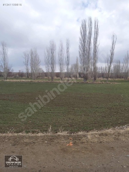 Yozgat Şefaatli Satılık Tarla 1824 M² Müstakil Tapulu — fotoğraf 4