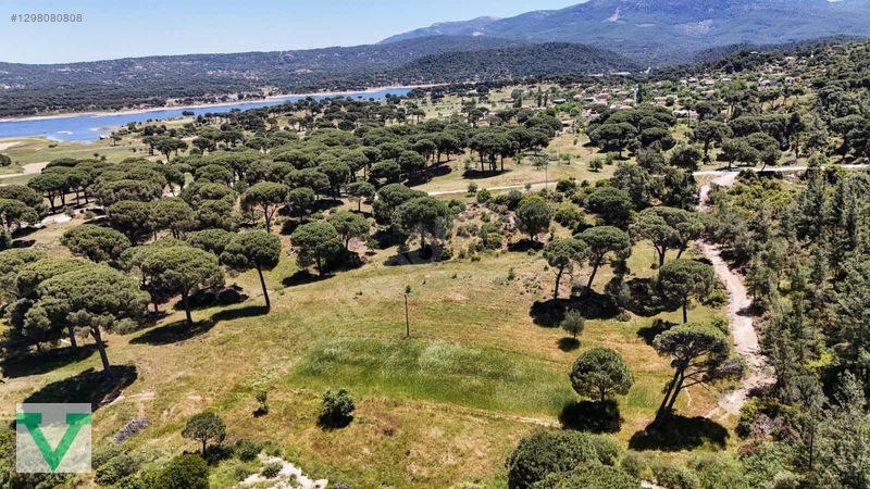 Muğla Milas Olukbaşı Mevkiinde 3032 M2 Muhteşem Konum Drone Çkm!