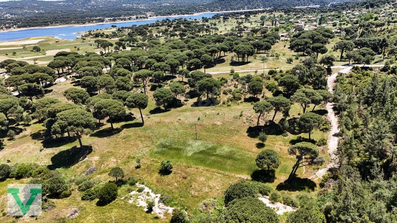 Muğla Milas Olukbaşı Mevkiinde 3032 M2 Muhteşem Konum Drone Çkm! — fotoğraf 2