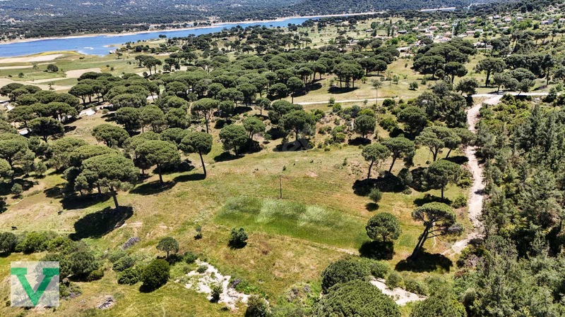 Muğla Milas Olukbaşı Mevkiinde 3032 M2 Muhteşem Konum Drone Çkm! — fotoğraf 3