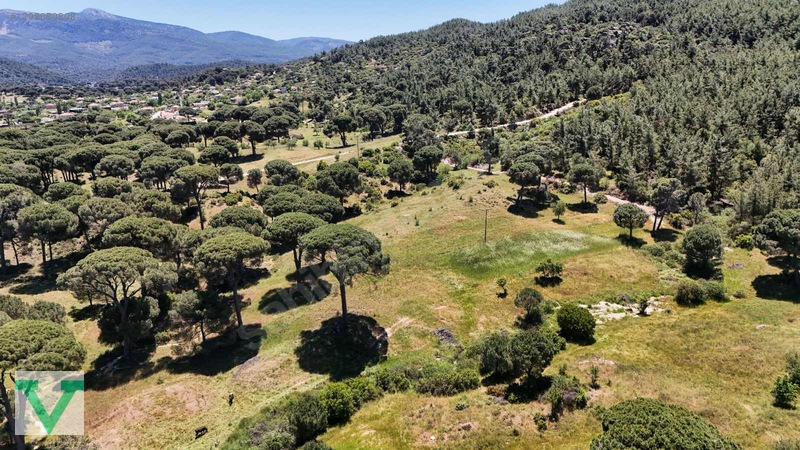 Muğla Milas Olukbaşı Mevkiinde 3032 M2 Muhteşem Konum Drone Çkm! — fotoğraf 4