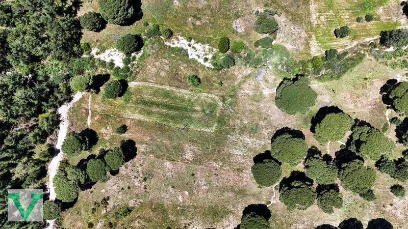 Muğla Milas Olukbaşı Mevkiinde 3032 M2 Muhteşem Konum Drone Çkm! — fotoğraf 5