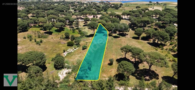Muğla Milas Olukbaşı Mevkiinde 3032 M2 Muhteşem Konum Drone Çkm! — fotoğraf 6
