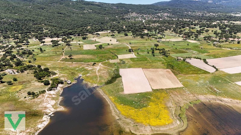 Muğla Milas Olukbaşı Mevkiinde 3032 M2 Muhteşem Konum Drone Çkm! — fotoğraf 7
