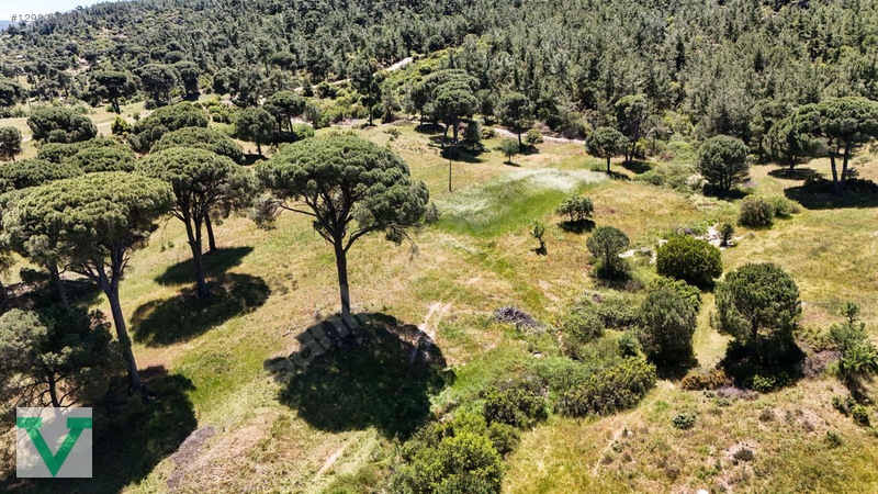 Muğla Milas Olukbaşı Mevkiinde 3032 M2 Muhteşem Konum Drone Çkm! — fotoğraf 8