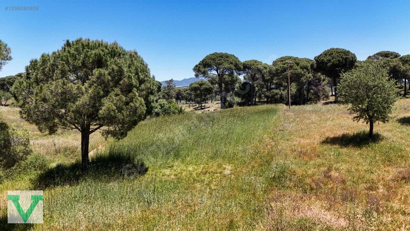 Muğla Milas Olukbaşı Mevkiinde 3032 M2 Muhteşem Konum Drone Çkm! — fotoğraf 9