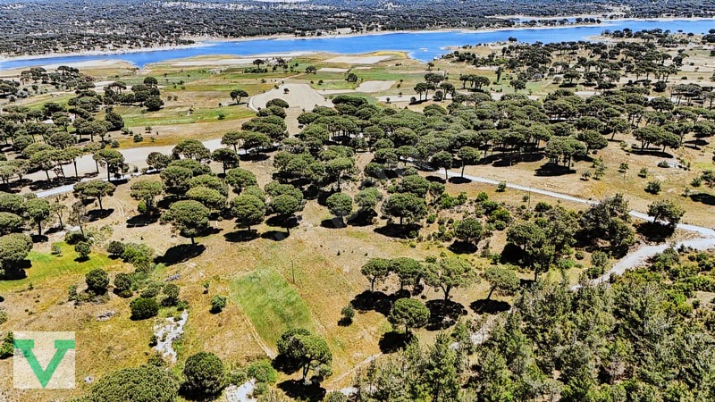 Muğla Milas Olukbaşı Mevkiinde 3032 M2 Muhteşem Konum Drone Çkm! — fotoğraf 11