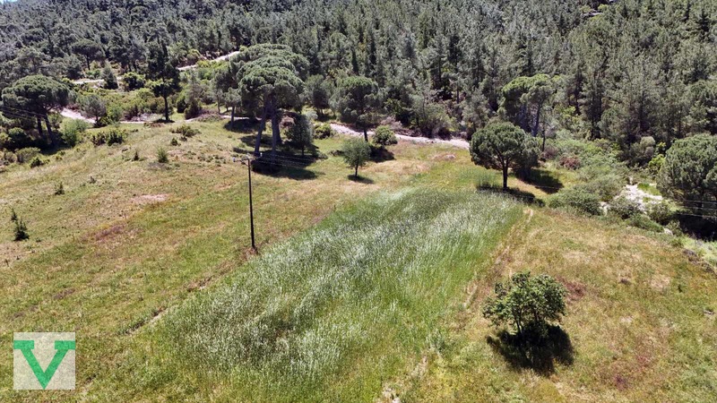 Muğla Milas Olukbaşı Mevkiinde 3032 M2 Muhteşem Konum Drone Çkm! — fotoğraf 12