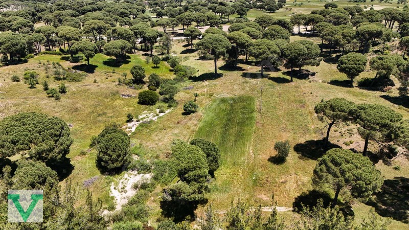 Muğla Milas Olukbaşı Mevkiinde 3032 M2 Muhteşem Konum Drone Çkm! — fotoğraf 13