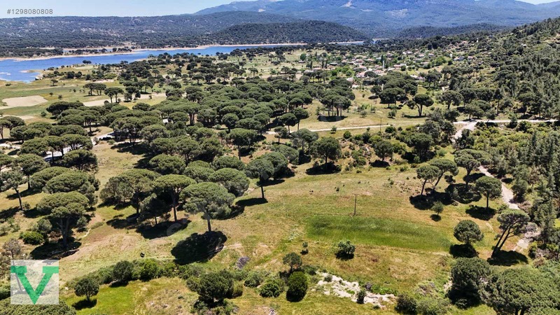 Muğla Milas Olukbaşı Mevkiinde 3032 M2 Muhteşem Konum Drone Çkm! — fotoğraf 15
