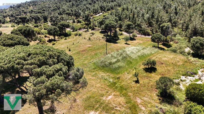 Muğla Milas Olukbaşı Mevkiinde 3032 M2 Muhteşem Konum Drone Çkm! — fotoğraf 16