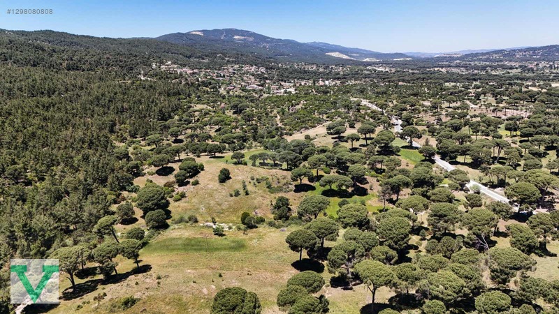 Muğla Milas Olukbaşı Mevkiinde 3032 M2 Muhteşem Konum Drone Çkm! — fotoğraf 17