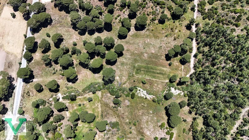 Muğla Milas Olukbaşı Mevkiinde 3032 M2 Muhteşem Konum Drone Çkm! — fotoğraf 19