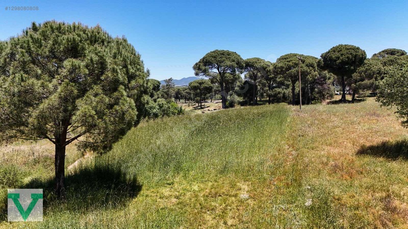 Muğla Milas Olukbaşı Mevkiinde 3032 M2 Muhteşem Konum Drone Çkm! — fotoğraf 21