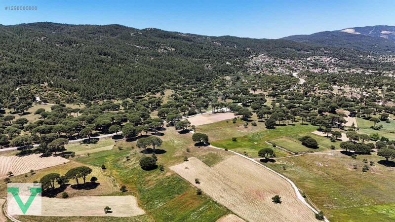Muğla Milas Olukbaşı Mevkiinde 3032 M2 Muhteşem Konum Drone Çkm! — fotoğraf 22