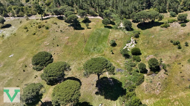 Muğla Milas Olukbaşı Mevkiinde 3032 M2 Muhteşem Konum Drone Çkm! — fotoğraf 23